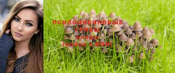 MDMA Premium VHQ Абдулино