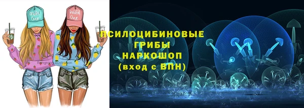 МДПВ Абаза