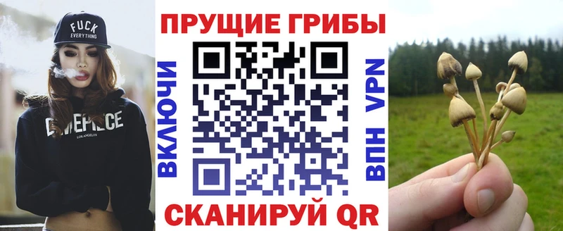Псилоцибиновые грибы мицелий  это как зайти  Ливны  KRAKEN  